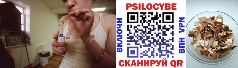 Купить закладки  Новокубанск  Галлюциногенные грибы GOLDEN TEACHER 